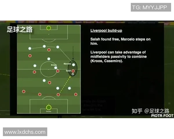 南京排球队的盯防战术解析与比赛表现分析
