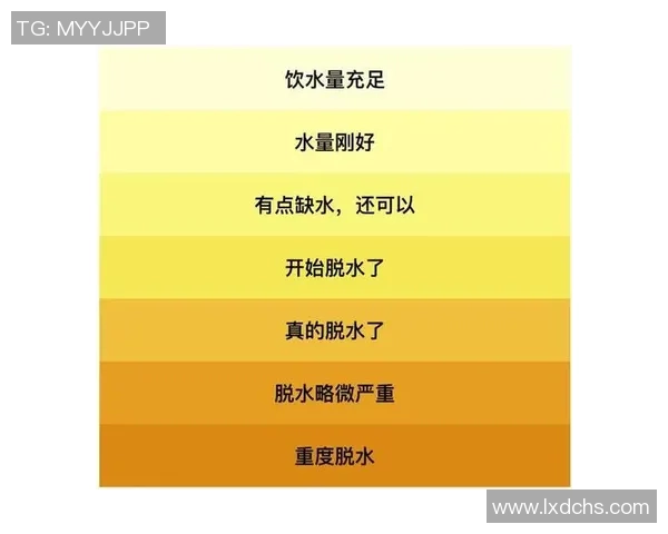 心源性猝死的足球明星背后的健康隐患与运动风险探讨