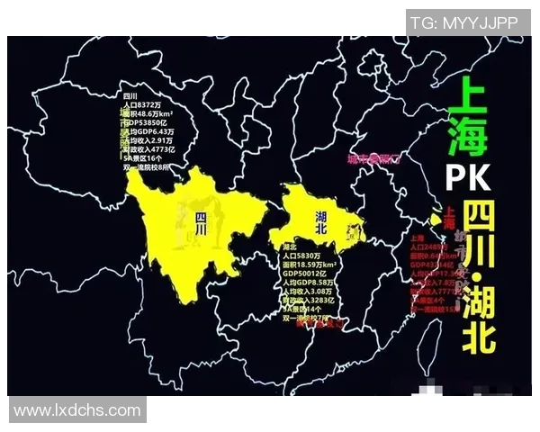 广州排球队球员个人能力深度对比与分析探讨