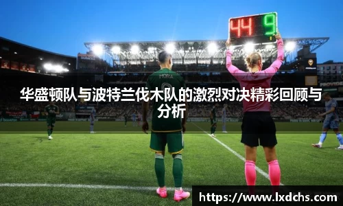 B体育bsports