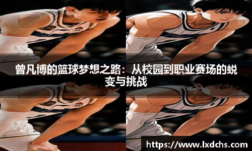 bsports官网