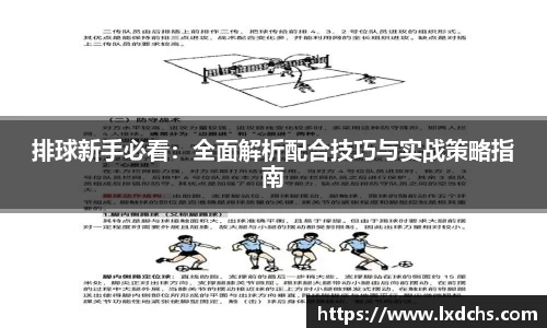 B体育官网