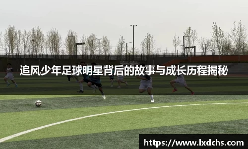bsports官网入口